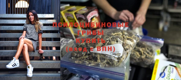 ГАЛЛЮЦИНОГЕННЫЕ ГРИБЫ Алзамай
