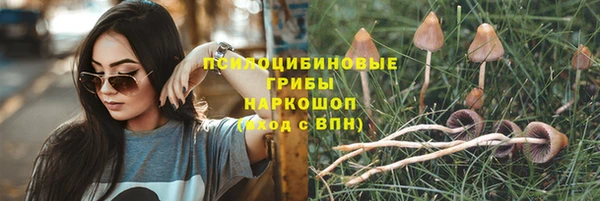 ГАЛЛЮЦИНОГЕННЫЕ ГРИБЫ Алзамай