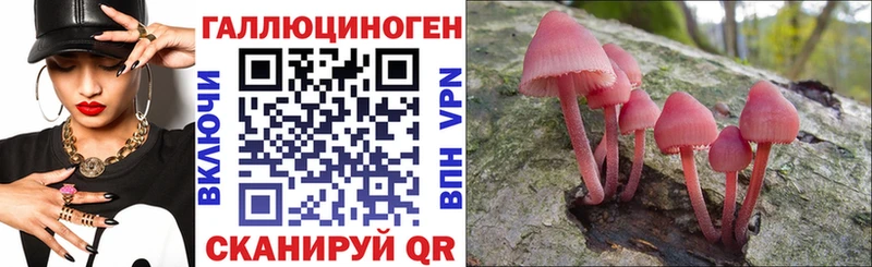 Галлюциногенные грибы ЛСД MEGA Павловский Посад цены наркотик