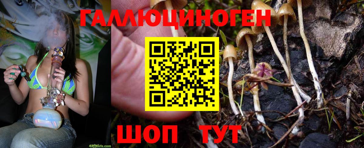 Псилоцибиновые грибы Cubensis Павловский Посад