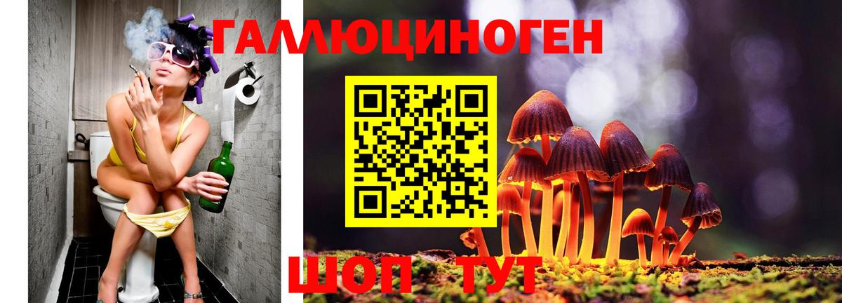 Павловский Посад  Галлюциногенные грибы Psilocybe  Вход с VPN  Галлюциногенные грибы прущие грибы 